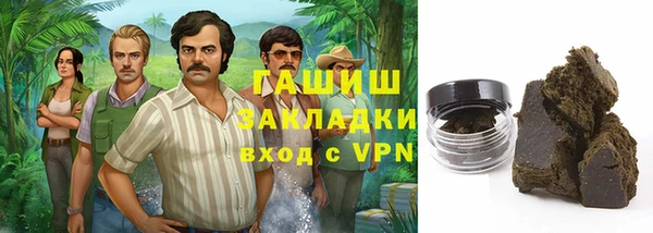твердый Дмитровск